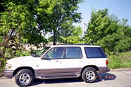 the trees cannot mask the beauty of  a clean car